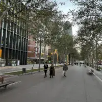 One of the main roads in Barcelona that has been pedestrianised that leads all the way to the beach