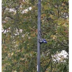 A photo of a lamp post with a IoT sesnor attached with a park in the background