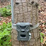 A photograph of a wildlife sensor tied to a tree. The sensor is a rectangular grey box with an antenna.